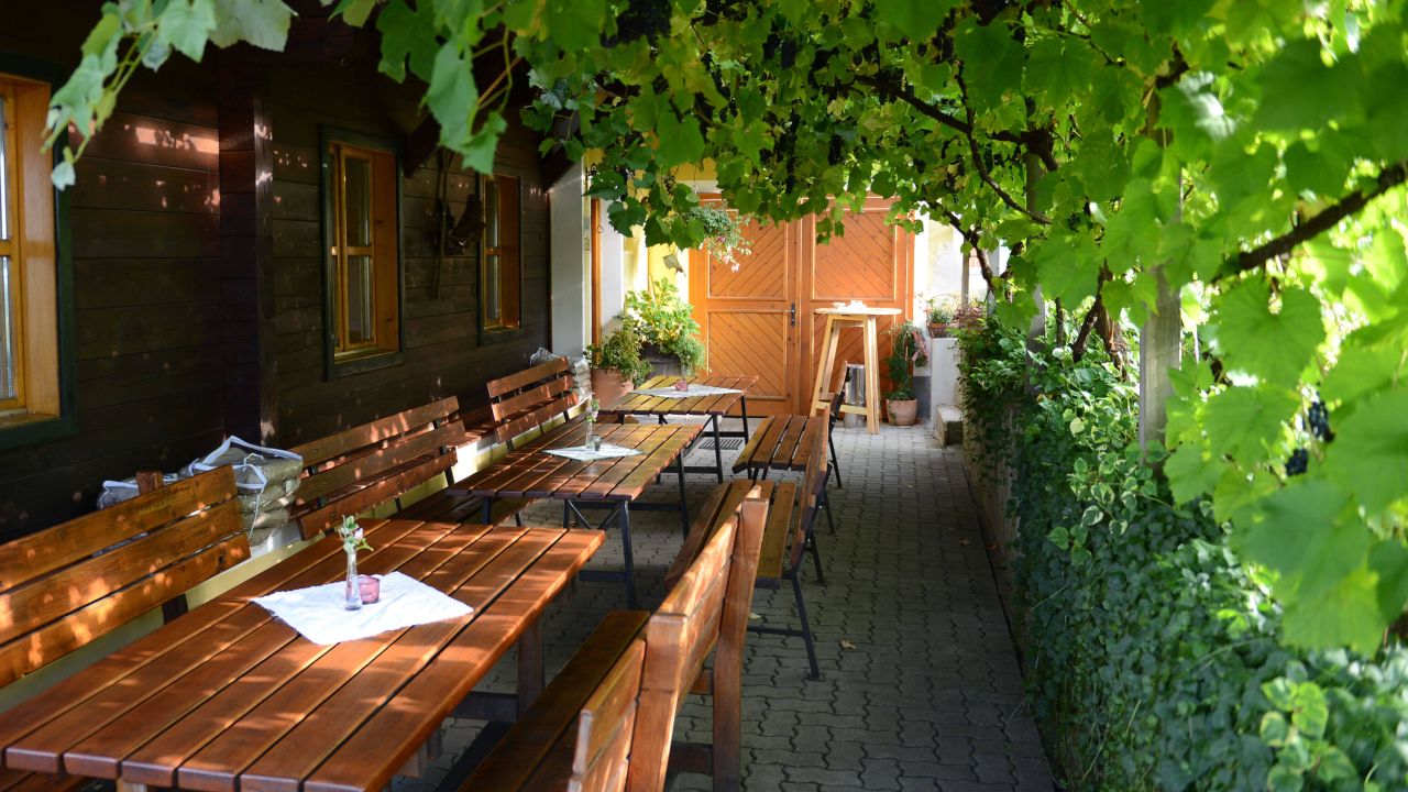Weingut & Buschenschank Pölzl (Großklein) • HolidayCheck ...