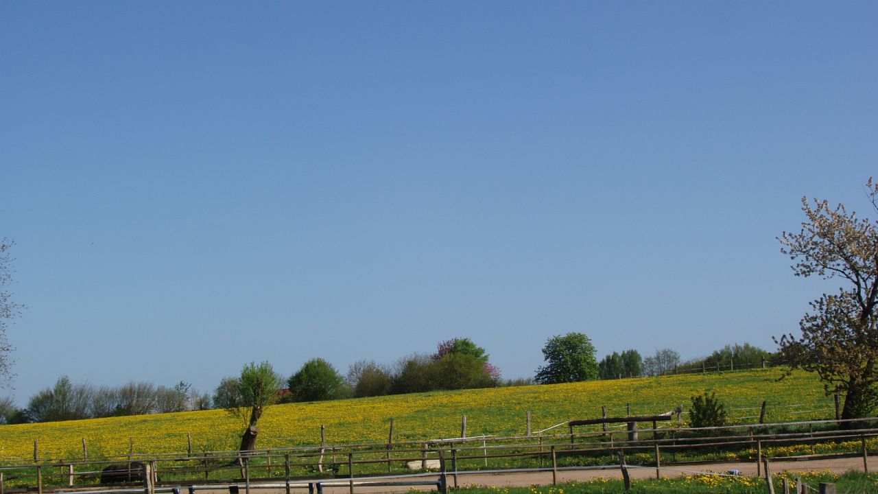 Ferienwohnung Nindorf Nindorf Holidaycheck Schleswig Holstein Deutschland