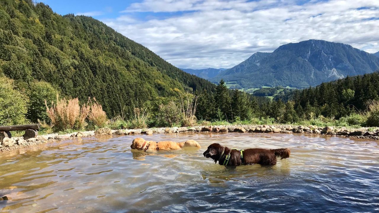 Haus Blickner Alm (Ruhpolding) • HolidayCheck (Bayern Deutschland)