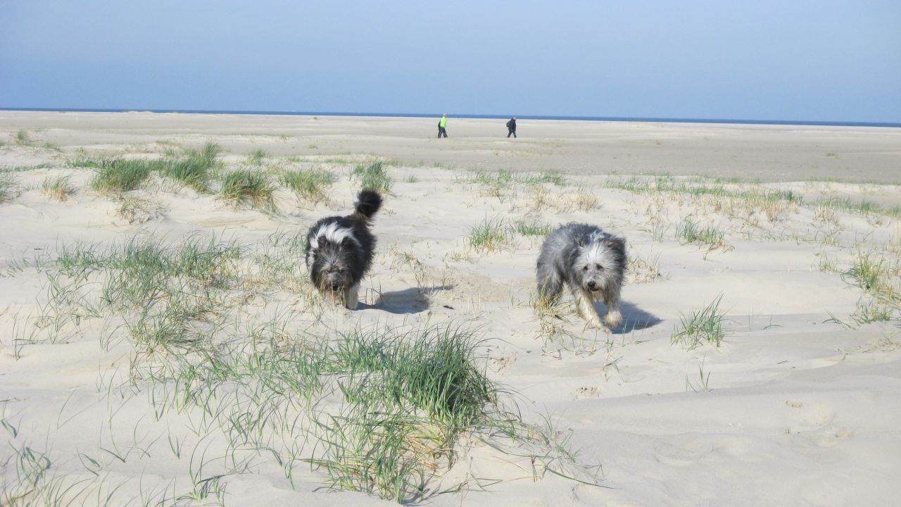 AKZENT Hotel Seehof in Baltrum • HolidayCheck | Niedersachsen Deutschland