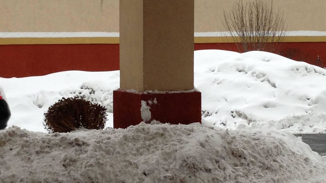 Hotel Comfort Suites Newark Newark Holidaycheck New Jersey Usa