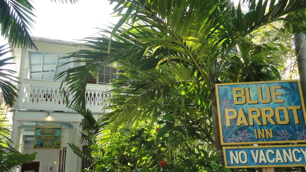 Hotel Blue Parrot Inn (Key West) • HolidayCheck (Florida USA)