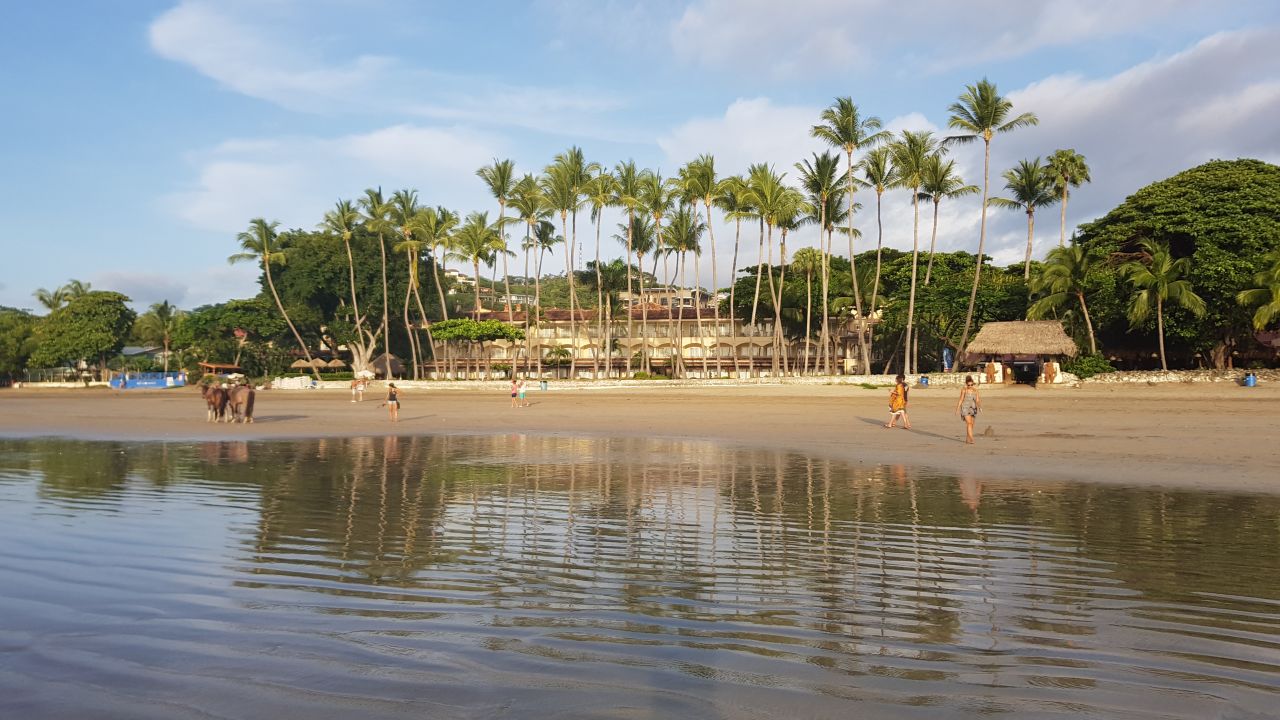 Tamarindo Diria Beach Resort (Tamarindo) • HolidayCheck (Costa Rica