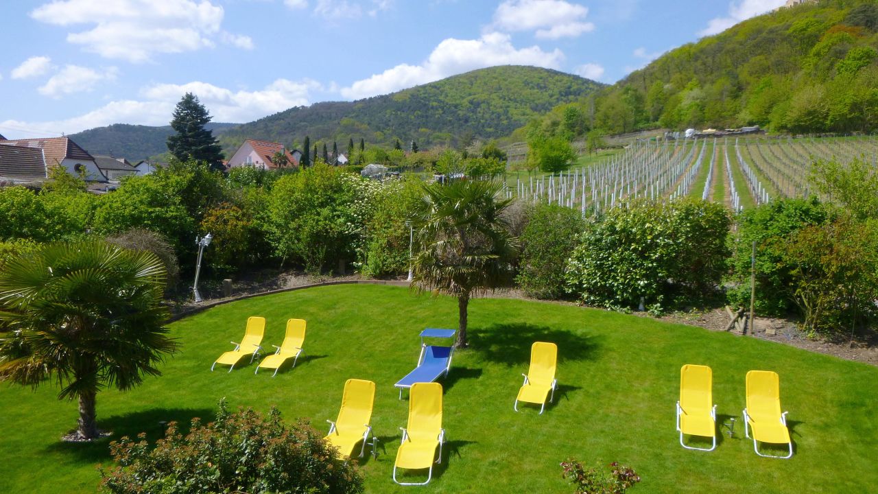 Gästehaus Weingut Helbighof (Neustadt An Der Weinstraße) • HolidayCheck ...