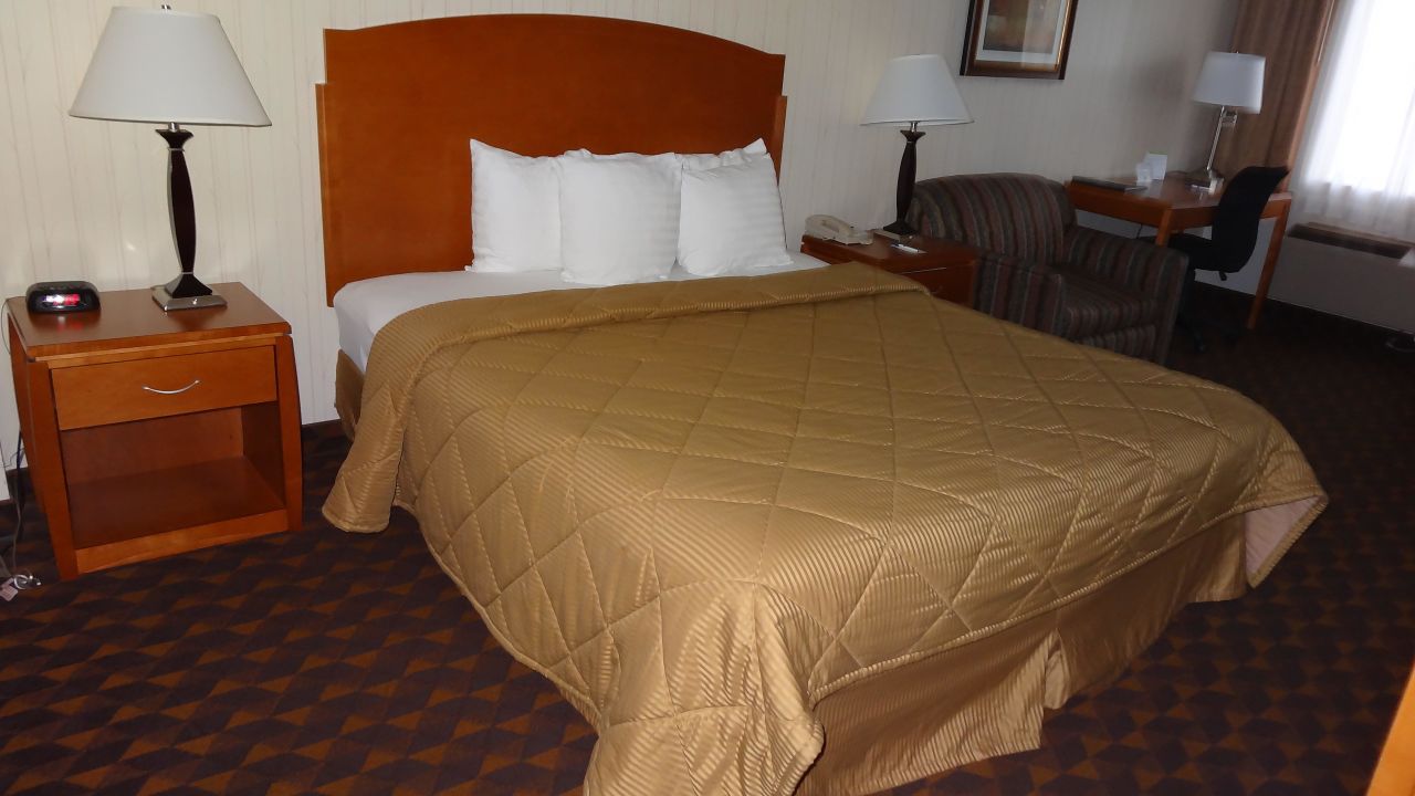 Quality Inn Suites Los Angeles Airport Lax Inglewood