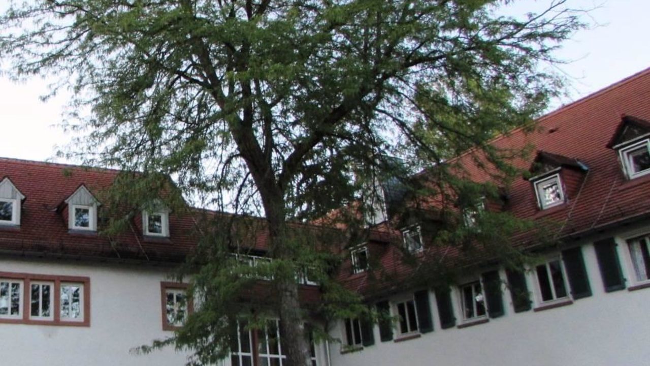 Tagungshaus Kloster Höchst (Höchst im Odenwald) • HolidayCheck (Hessen