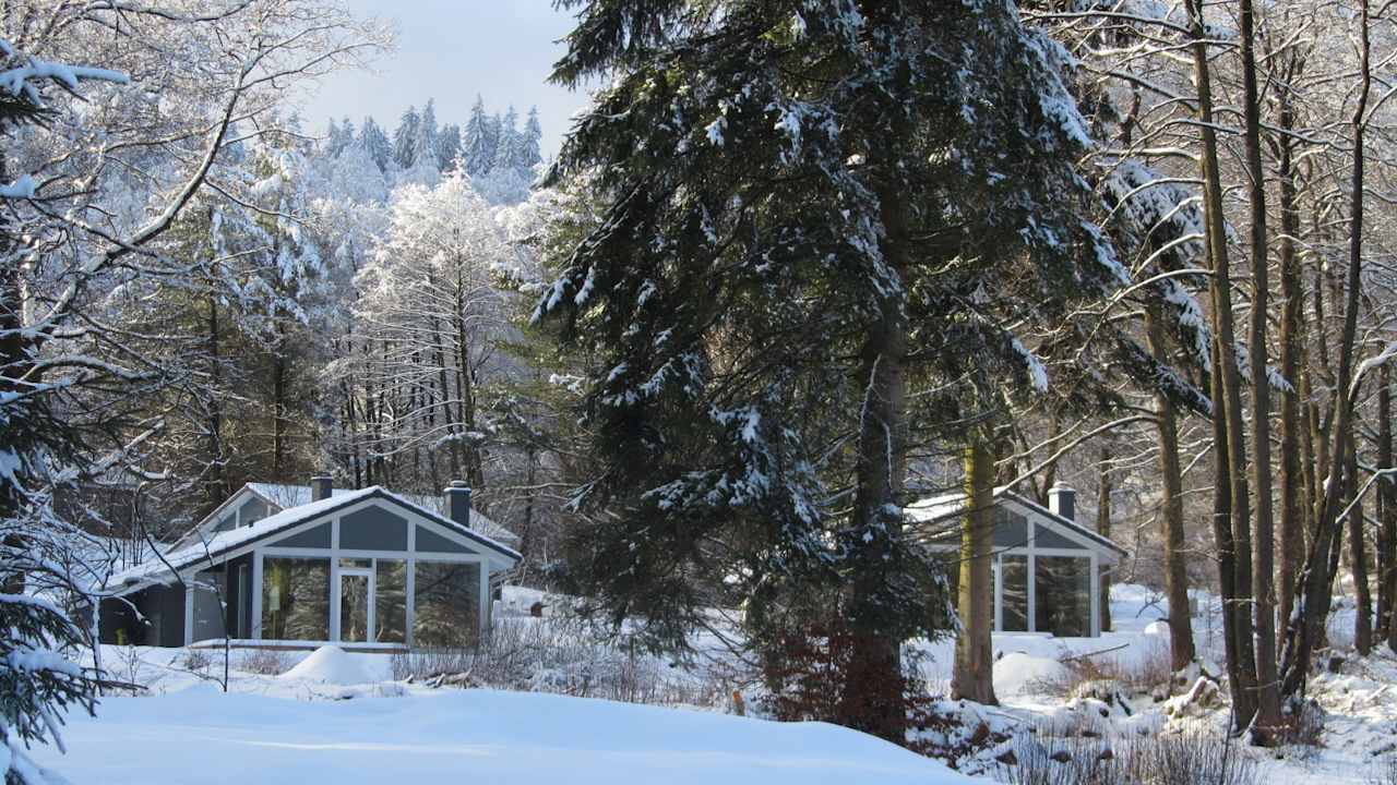 Ferienhaus Lichtung