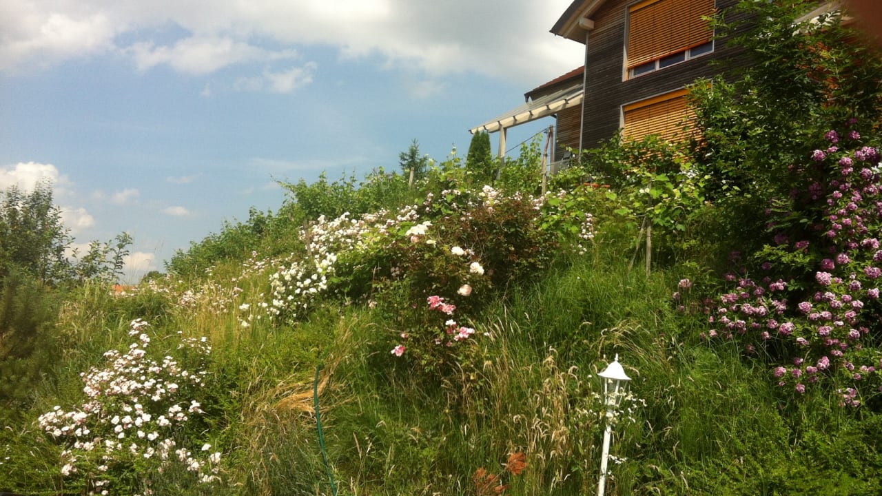 Gastesuite Haus Schlossblick Kapfenstein Holidaycheck Steiermark Osterreich