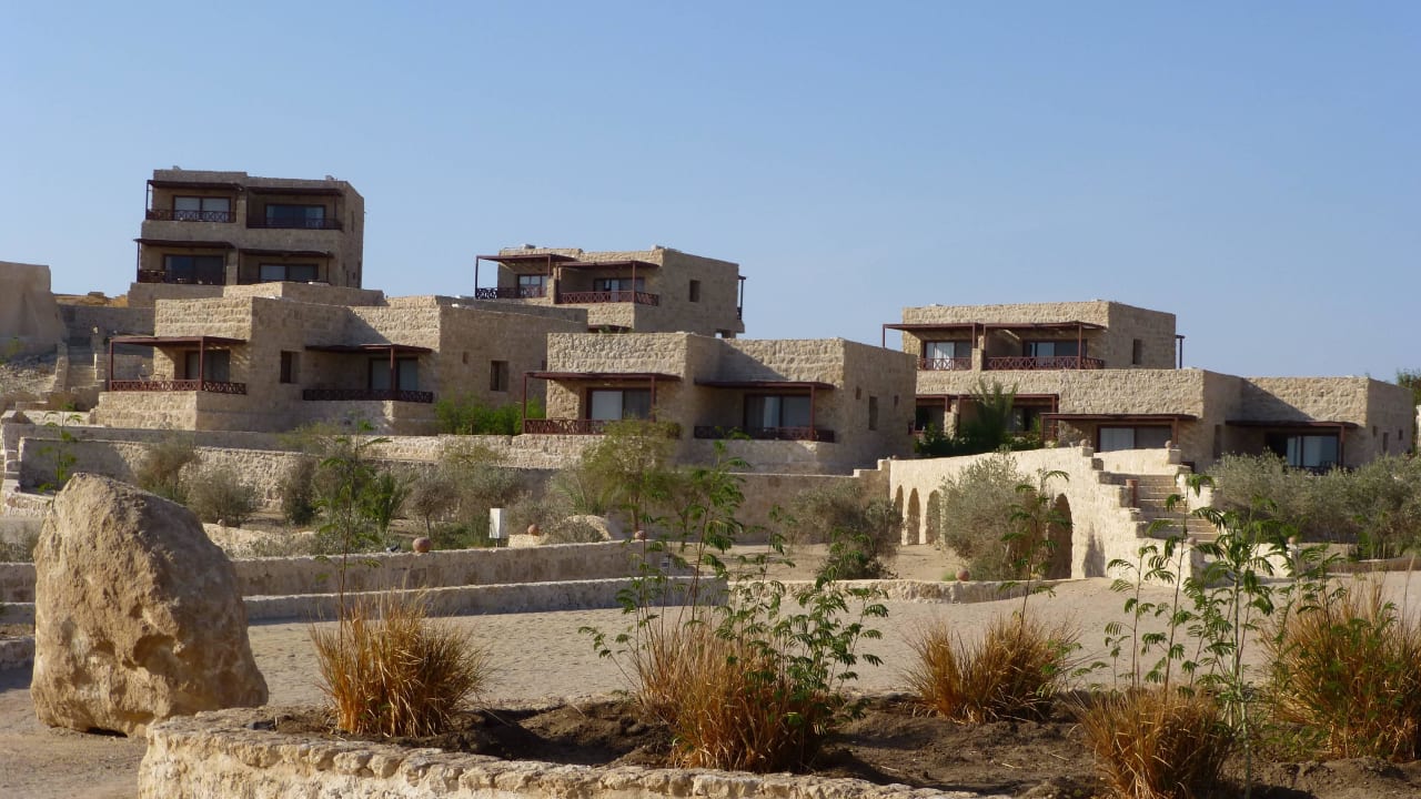 The Oasis Dive Resort (Marsa Alam) • HolidayCheck (Marsa Alam/El Quseir