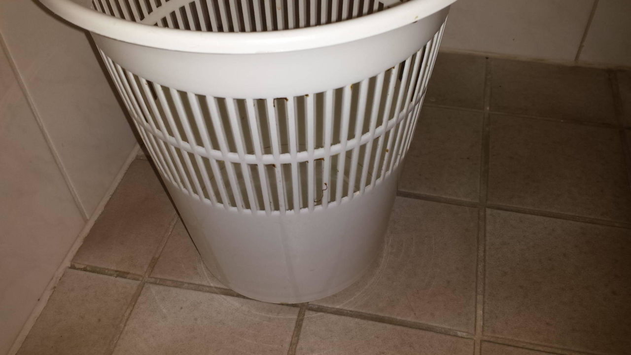 "Papierkorb Bad" Vital & Wellnesshotel Schürger (Thurmansbang