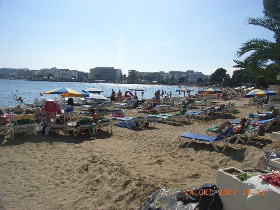 Playa Es Canar Azuline Hotel Coral Beach Es Canar Holidaycheck Ibiza Spanien