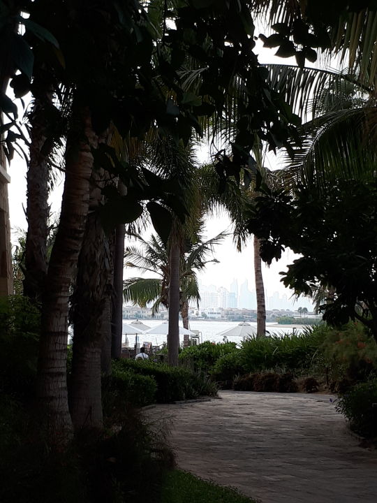 "Gartenanlage" Sofitel Dubai The Palm Resort & Spa (Dubai
