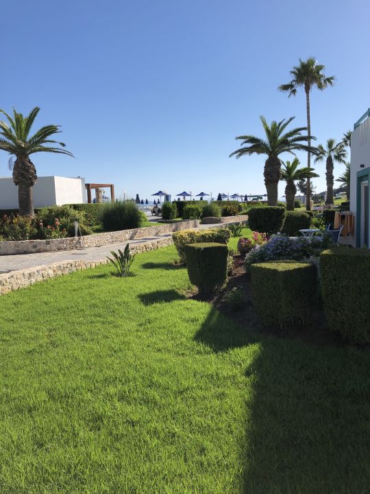 "Gartenanlage" Mastichari Bay Hotel (Mastichari) • HolidayCheck (Kos