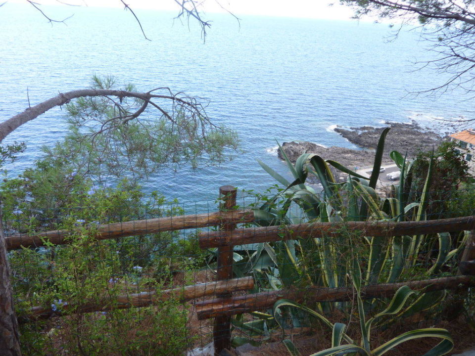 Der Garten 60 Meter Uber Dem Meer Hotel L Oasi Cala Gonone