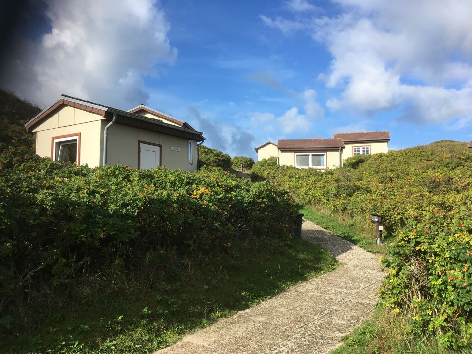 "Gartenanlage" Klappholttal Akademie am Meer (Kampen [Sylt