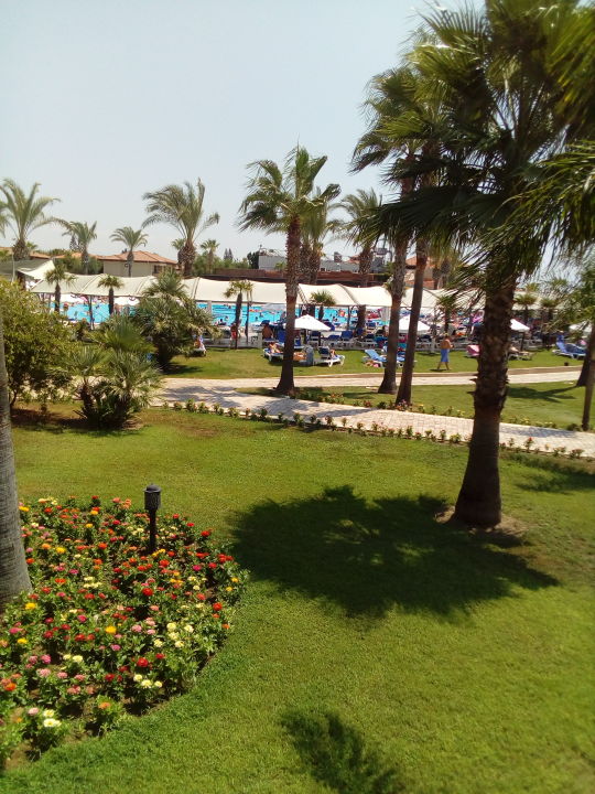 "Garten" TUI BLUE Palm Garden (Manavgat Kizilagac) • HolidayCheck
