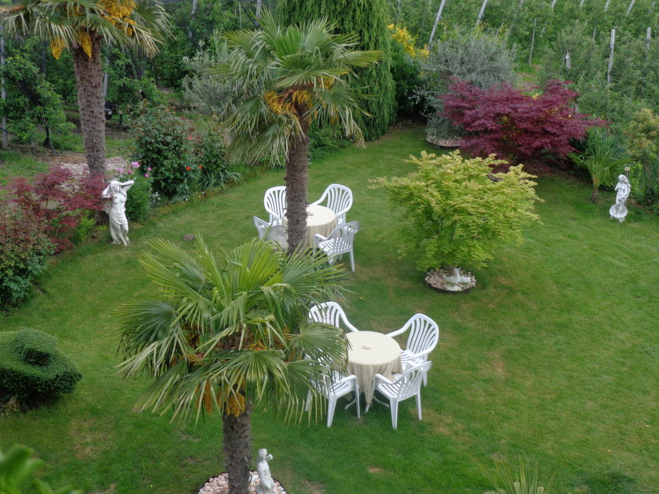 Sehr Schoner Garten Mit Palmen Pension Zum Burggrafler Scena