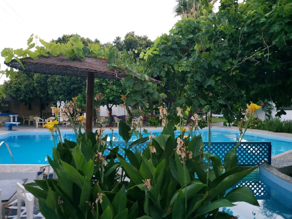 "Pool" Oasis Hotel & Bungalows Rhodos (Afandou) • HolidayCheck (Rhodos
