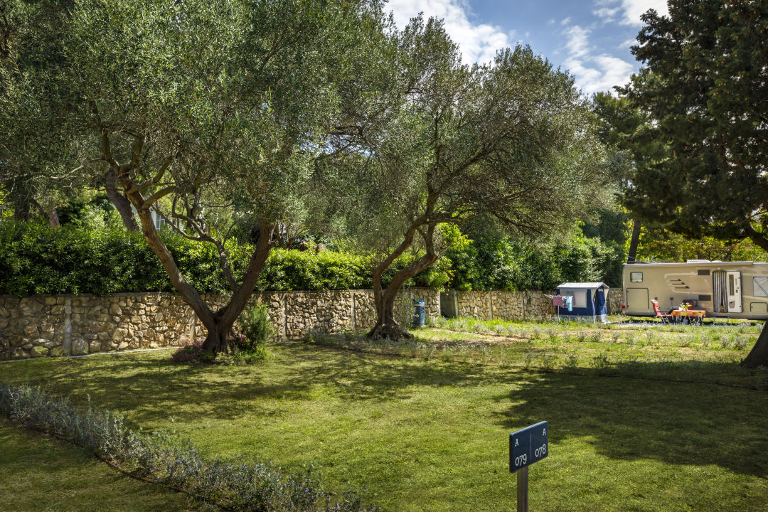 &quot;Garten&quot; Padova Premium Camping Resort (Banjol