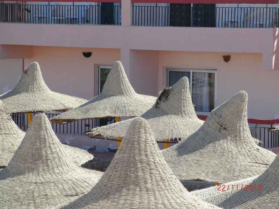 "Kaputte Sonnenschirme" Hotel Beirut (Hurghada) • HolidayCheck
