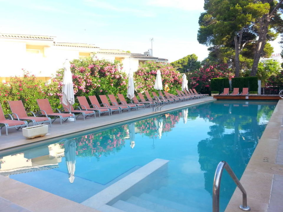 "2 Pools" Aparthotel Ivory Playa (Alcudia) • HolidayCheck (Mallorca