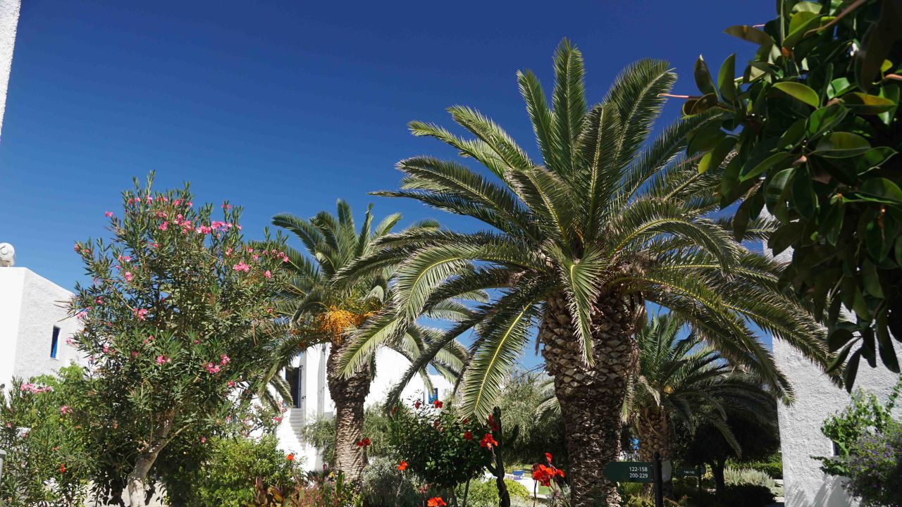 "Gepflegter Garten" Aldiana Club Kreta (Mochlos