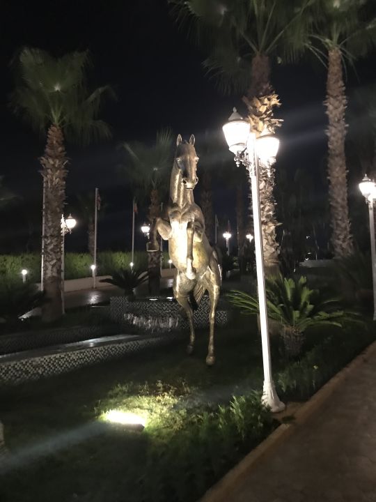 "Gartenanlage" Delphin BE Grand (Lara) • HolidayCheck (Türkische