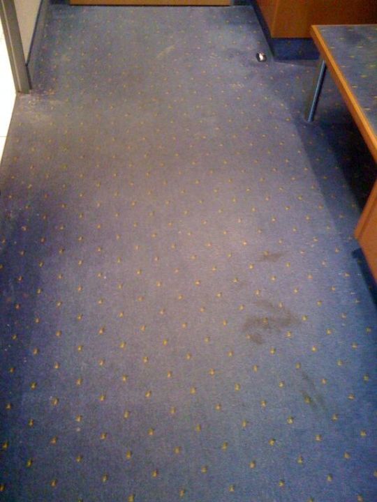 Zimmer 155 Flecken Auf Dem Teppich Dorint Kongresshotel