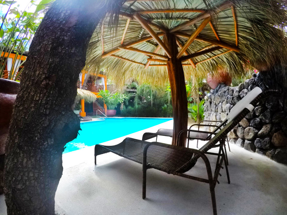 "Pool" Locanda Samara Beach (Samara) • HolidayCheck (Costa Rica
