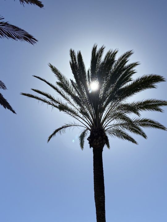 "Ausblick" R2 Rio Calma Hotel & Spa & Conference (Costa ...