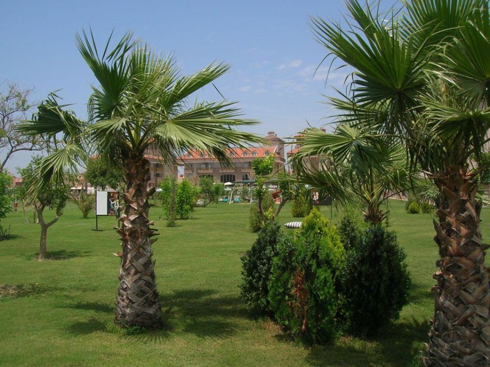 "Wunderschön angelegter Garten" PrimaSol Hane Family Resort (Evrenseki
