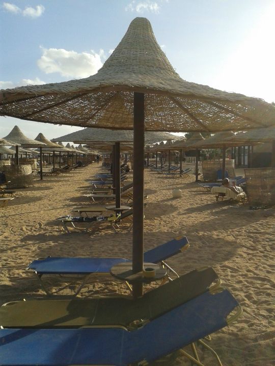 "Liegen und Sonnenschirme" Jaz Sharks Bay (Sharm el Sheikh
