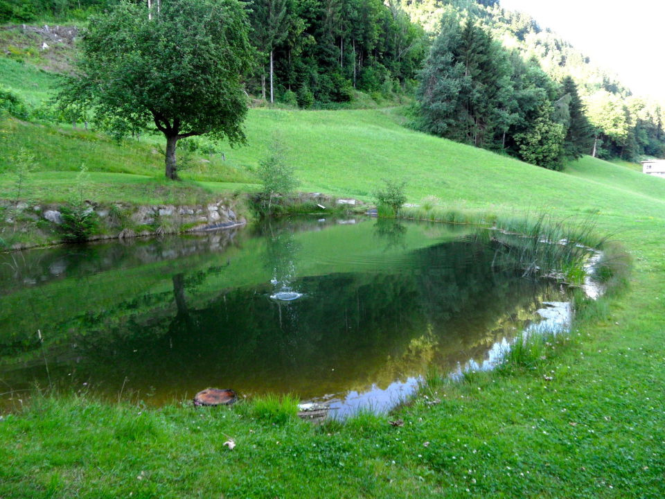 "Hauseigener Angelteich" Hotel Limberghof (Zell am See) • HolidayCheck