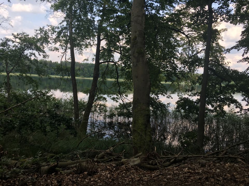  Ausblick  AHORN Seehotel Templin  Templin      HolidayCheck  Brandenburg