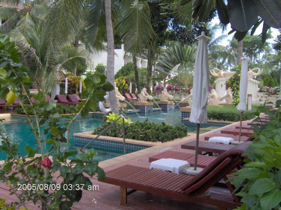 Download Kleiner Pool Im Garten PNG