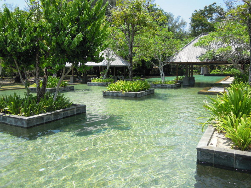  Sunset Pool  Hotel Tanjung  Rhu  Resort Tanjung  Rhu  