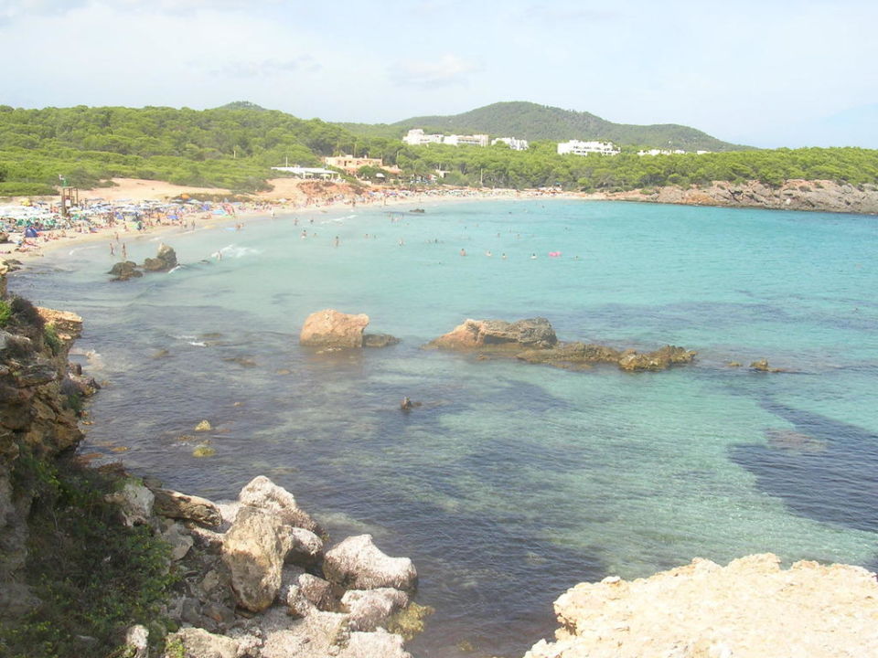 Bucht Cala Nova Fiesta Hotel Cala Nova Vorganger Hotel Existiert Nicht Mehr Es Canar Holidaycheck Ibiza Spanien