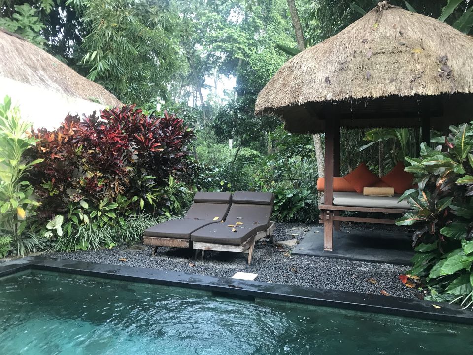  Pool Ubud  Padi  Villas  Ubud   HolidayCheck Bali 