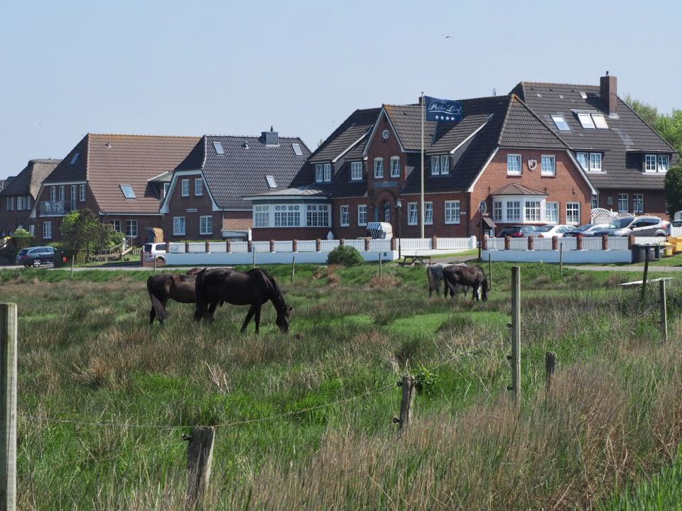 "Außenansicht" Hotel Pidder Lyng (Norddorf auf Amrum ...