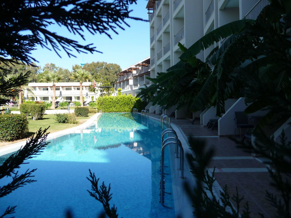 "Privatpool Swim Up Zimmer" Barut Hemera (Side) • HolidayCheck