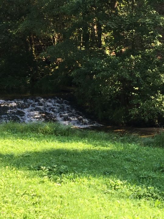 "Gartenanlage" Hotel Bruckwirt (Obermühl an der Donau) • HolidayCheck