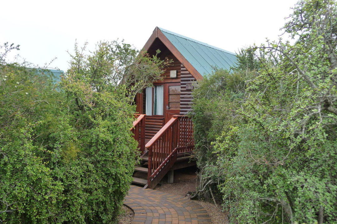"Forest Cabin" Addo Elephant Rest Camp (Sunday's River Valley