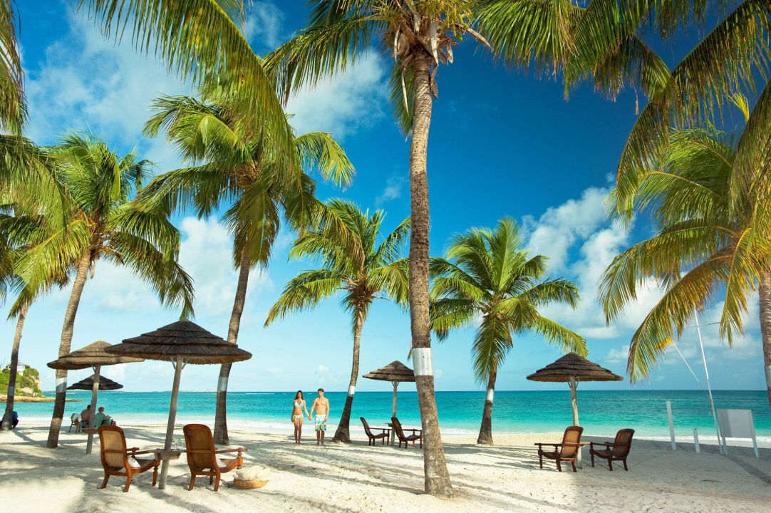 Download Bilder von palmen und strand For iPhone