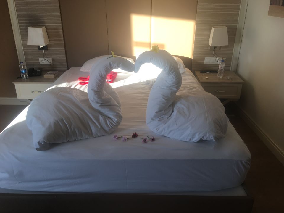 "Zimmer" Delphin Deluxe Resort (Okurcalar) • HolidayCheck (Türkische