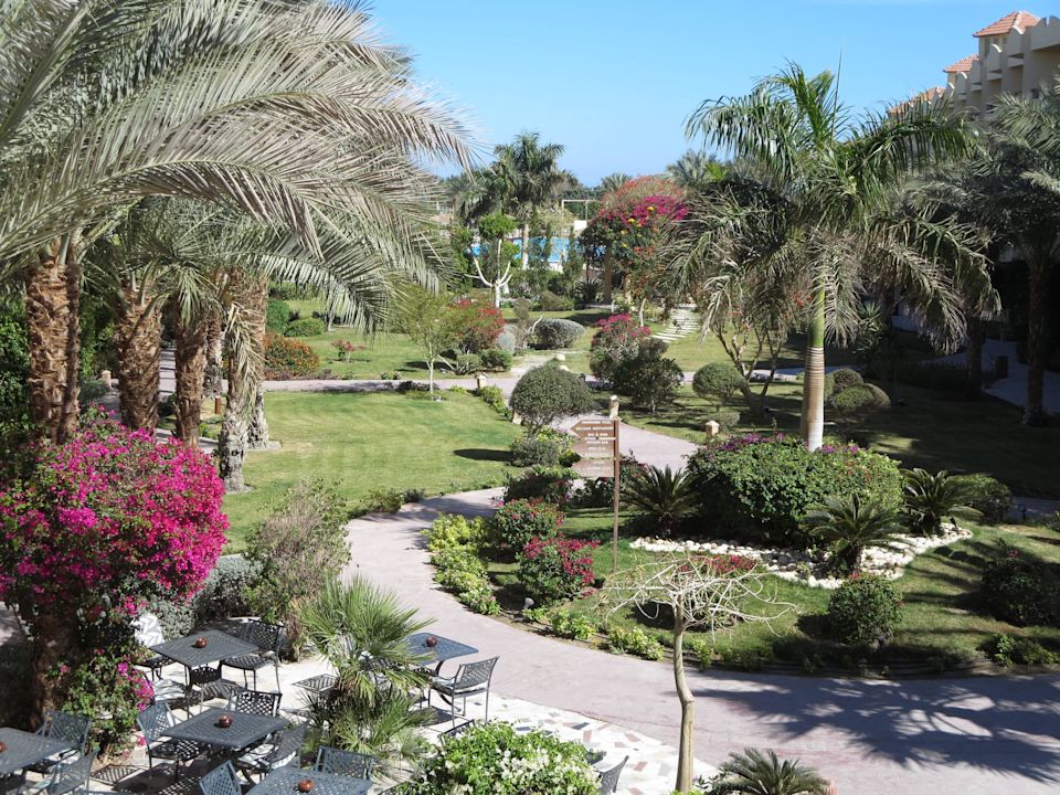 "Gartenanlage" Pickalbatros Amwaj Blue Beach Resort (Abu Soma