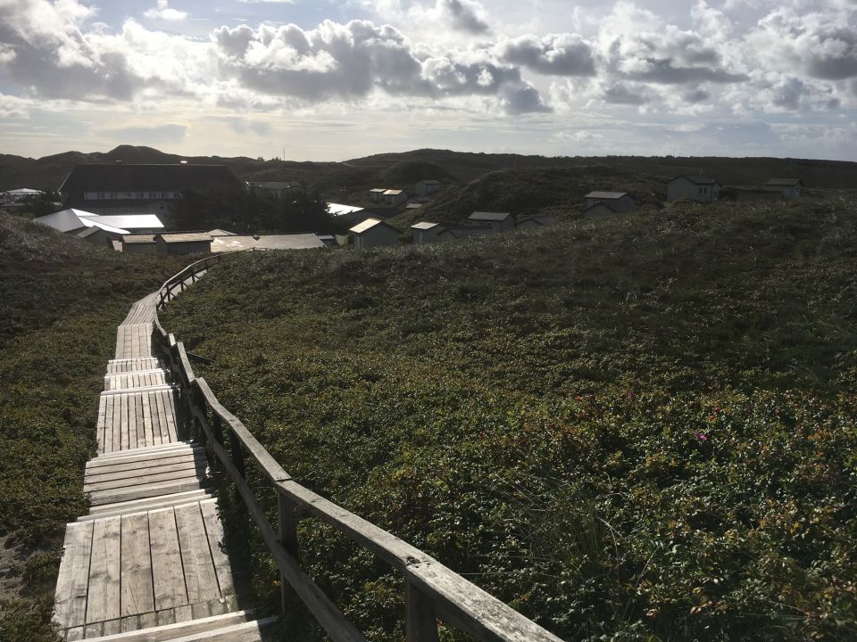 "Gartenanlage" Klappholttal Akademie am Meer (Kampen [Sylt