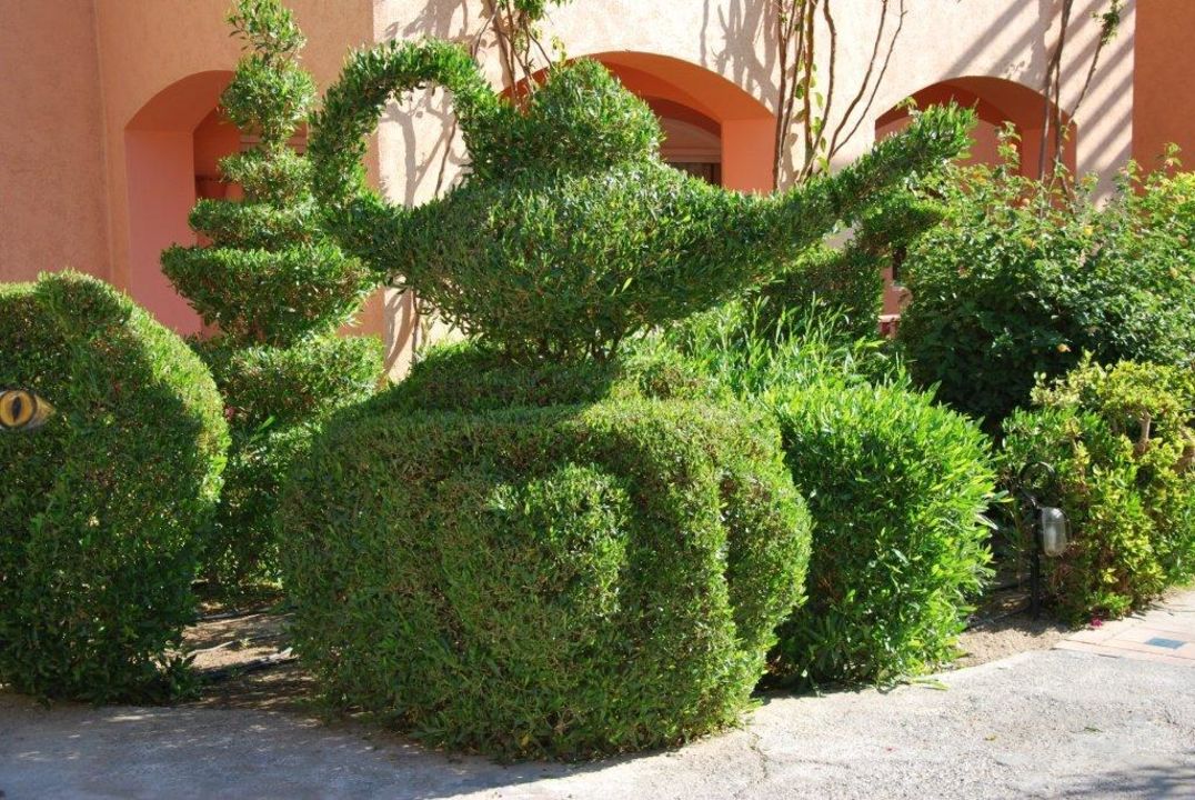 &quot;Geschnittene Büsche im Garten&quot; Hotel Iberotel Makadi