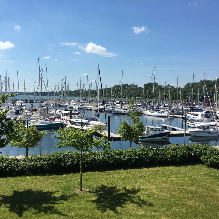 free historical dictionary