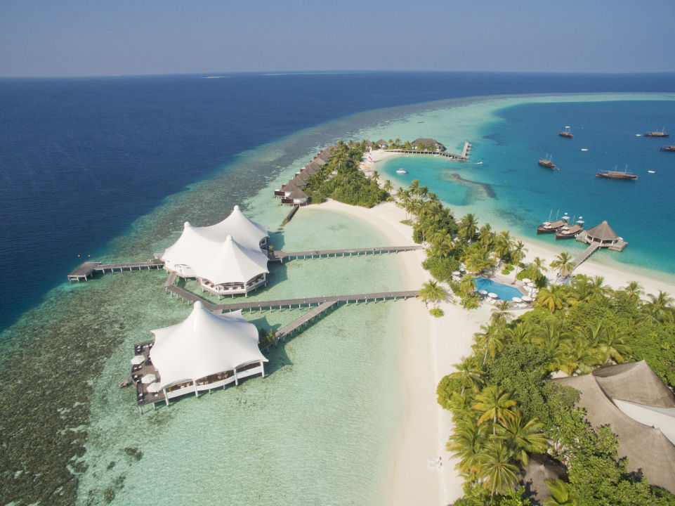 safari island maldives rezensionen