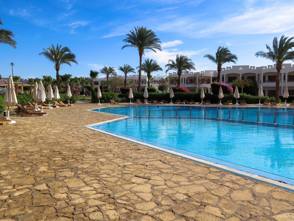"Pool" Happy Life Village (Dahab) • HolidayCheck (Sharm el Sheikh